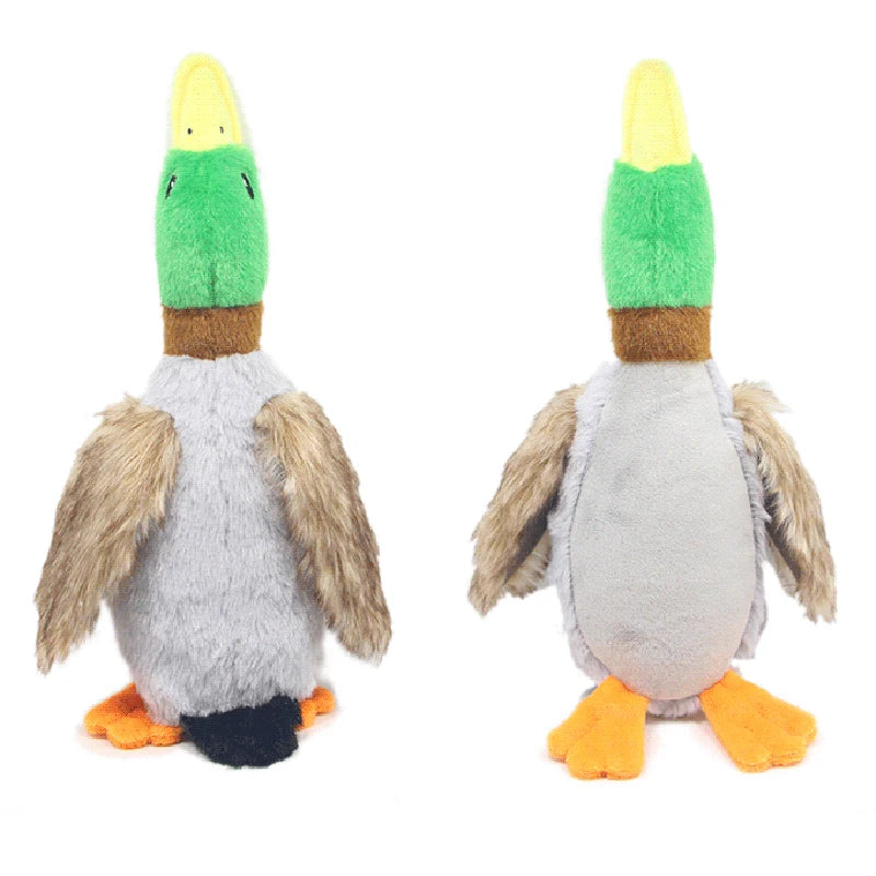 Simpatici cani di peluche con anatra che stridono giocattoli Divertenti giochi per animali domestici Giocattolo da masticare interattivo per accessori per animali domestici di taglia piccola e media