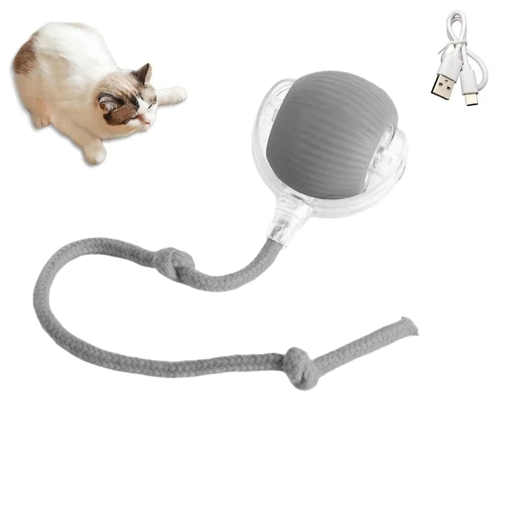 Giocattoli interattivi per gatti Palla rotolante automatica Coda finta Ricaricabile Smart Pet Giocattolo elettrico Addestramento per cani e gatti Imitare il mouse