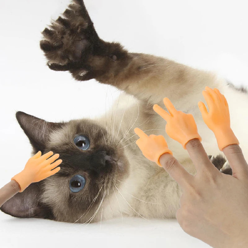 Simulazione in gomma elastica Scherzo da dito Giocattolo Stuzzicare Massaggio per gatti Modello di dito Gesto divertente Giocattolo interattivo per animali domestici di decompressione