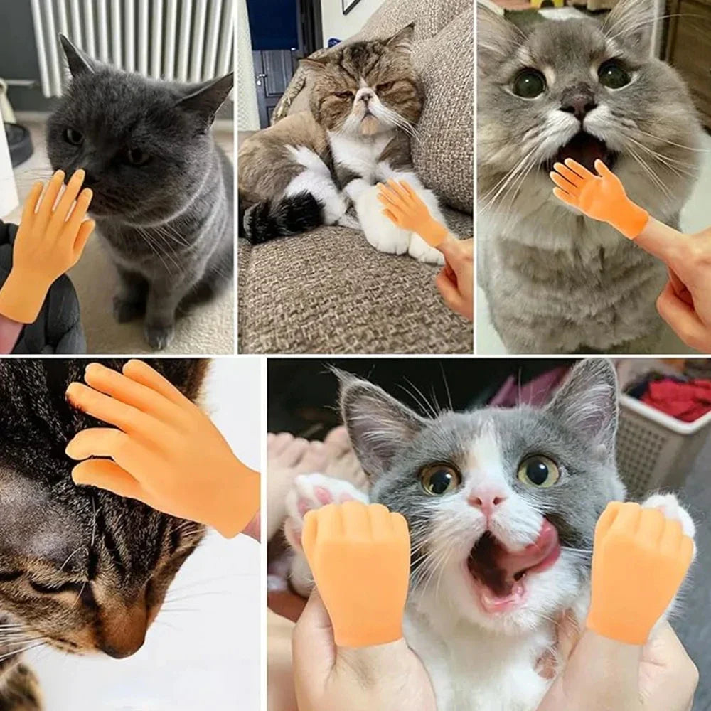 Simulazione in gomma elastica Scherzo da dito Giocattolo Stuzzicare Massaggio per gatti Modello di dito Gesto divertente Giocattolo interattivo per animali domestici di decompressione