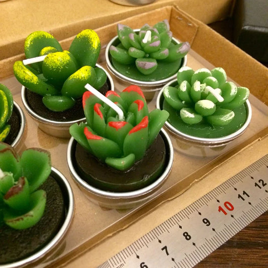 1PC Cactus Candle Creative succulente candele di Cactus candele senza fiamma Tea Light candele Decorative Tealight per feste, matrimoni, casa