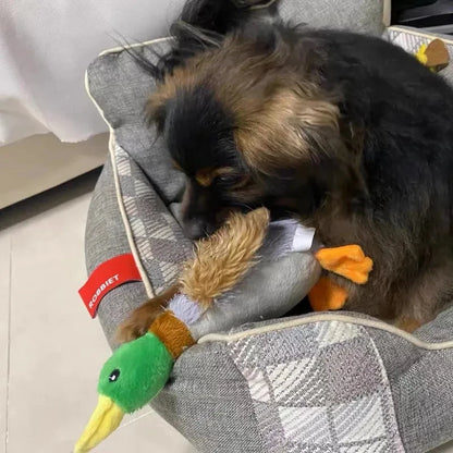 Simpatici cani di peluche con anatra che stridono giocattoli Divertenti giochi per animali domestici Giocattolo da masticare interattivo per accessori per animali domestici di taglia piccola e media