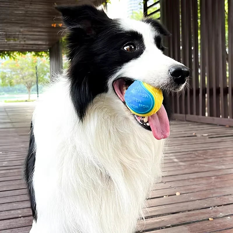 Cani Palla da masticare Giocattoli interattivi Morbidi giocattoli TPR per cani Pulizia dei denti di animali domestici Resistenza ai morsi Palla per cani stridulo Giocattolo Prodotti per animali domestici