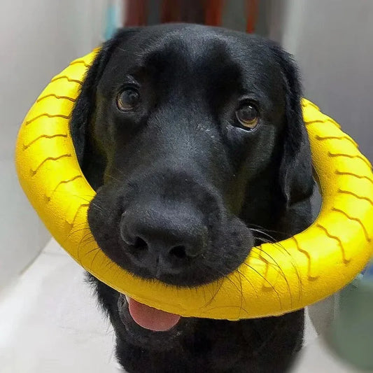Giocattoli per anelli per cani Strumenti di addestramento galleggianti da masticare indistruttibili per cani di piccola taglia media che lanciano che catturano volare
