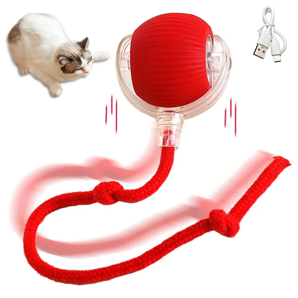 Giocattoli interattivi per gatti Palla rotolante automatica Coda finta Ricaricabile Smart Pet Giocattolo elettrico Addestramento per cani e gatti Imitare il mouse