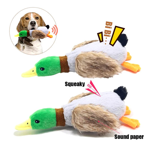 Simpatici cani di peluche con anatra che stridono giocattoli Divertenti giochi per animali domestici Giocattolo da masticare interattivo per accessori per animali domestici di taglia piccola e media