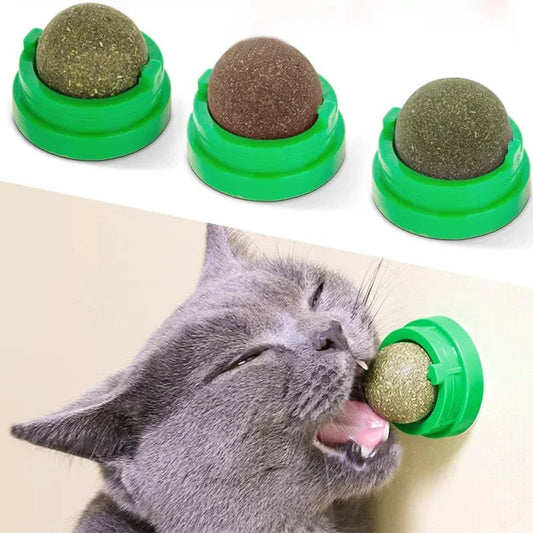Tiragraffi giocattolo con palla adesiva da parete per gatti con erba gatta naturale, dolcetti naturali sani, rimuove le palline per favorire la digestione, snack all'erba per gatti